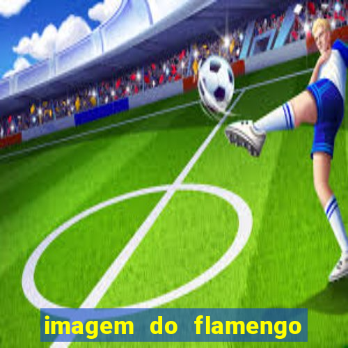 imagem do flamengo para perfil